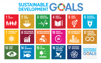 Hoe werkt het Nederlandse maatschappelijk middenveld aan de SDG’s?